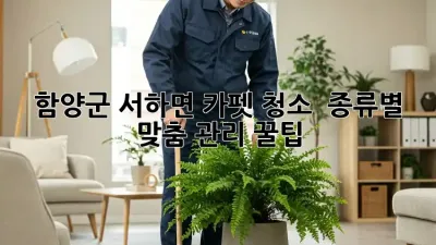 함양군 서하면 카펫 청소 ✨ 종류별 맞춤 관리 꿀팁🍯