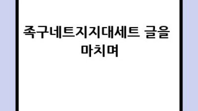 족구 네트 지지대 세트 완벽 가이드
